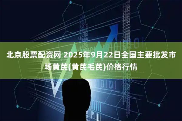 北京股票配资网 2025年9月22日全国主要批发市场黄芪(黄芪毛芪)价格行情