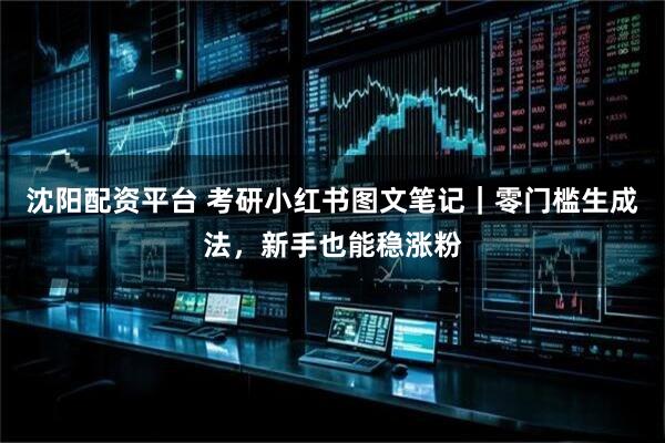 沈阳配资平台 考研小红书图文笔记｜零门槛生成法，新手也能稳涨粉